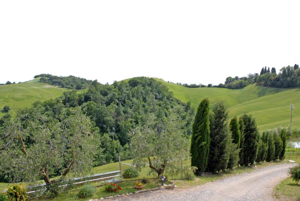 Certine Agriturismo Villa Asciano Exterior foto